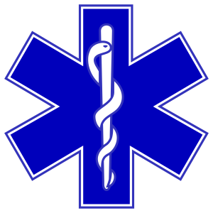 logo EMS